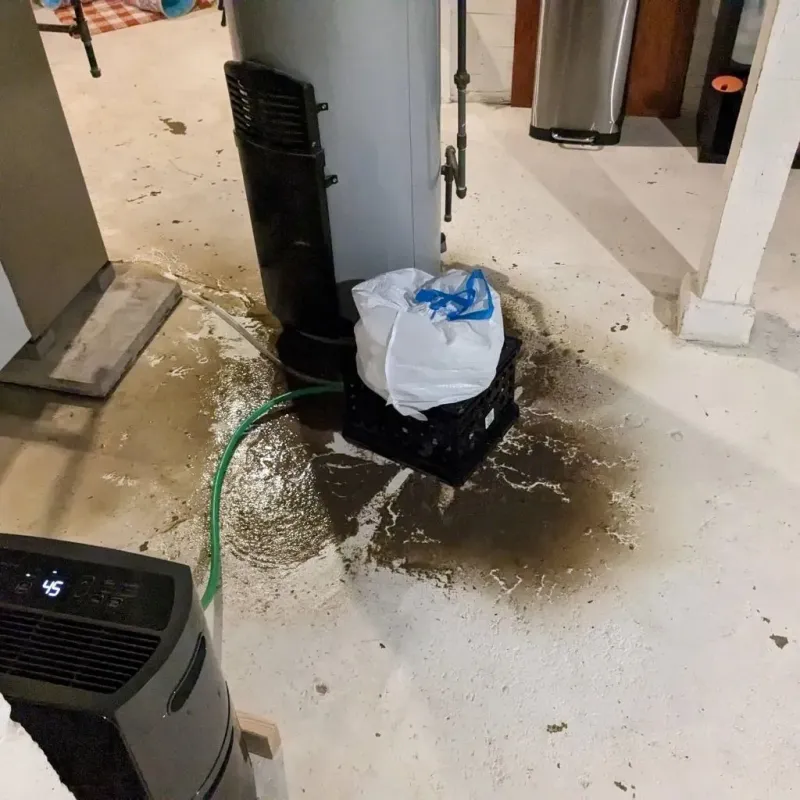 Sewage Backup Cleanup Service in Phoenixville, PA